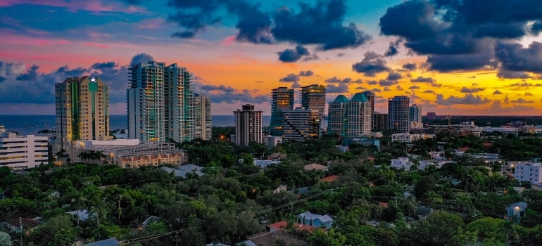 High-rise buildings beside trees. 