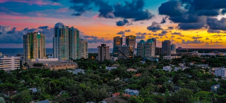 High-rise buildings beside trees.