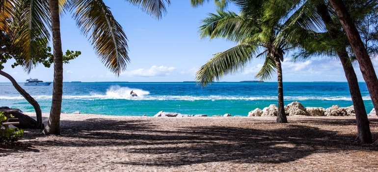 Sea boat framed by palm trees