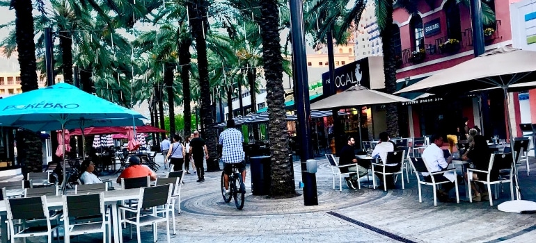 People sitting under green palms in one of the best Miami suburbs