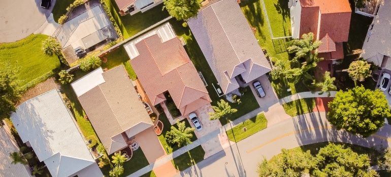 Bird's eye in the neighborhood 