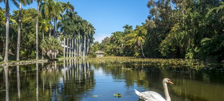 A photo of Swan Bonnet House Historic