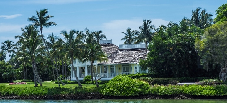 A house surrounded by palm trees