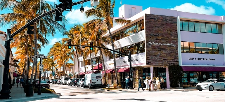 A city street with a traffic light and palm trees