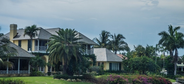 House in Florida surrounded by palm trees