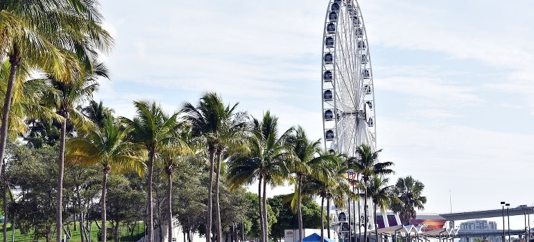 Photo of Miami- one of the cities to move in South Florida