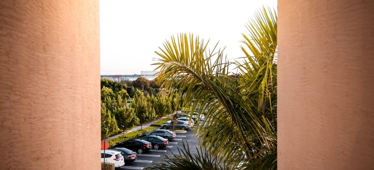 Cars parked on parking in Boca Raton