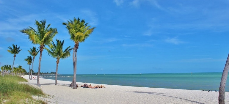 Palm trees and people sunbathing by the ocean.