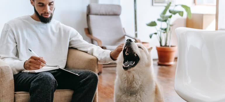 a dog and its owner who is writing down the best cities in Florida for dog-owners