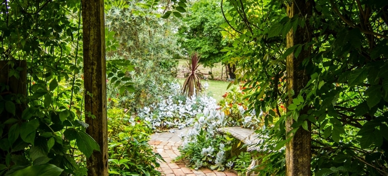 Vast greenery in Botanic Garden, Florida