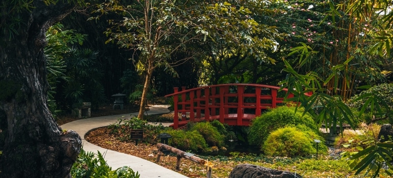 A red bridge in the middle of the garden