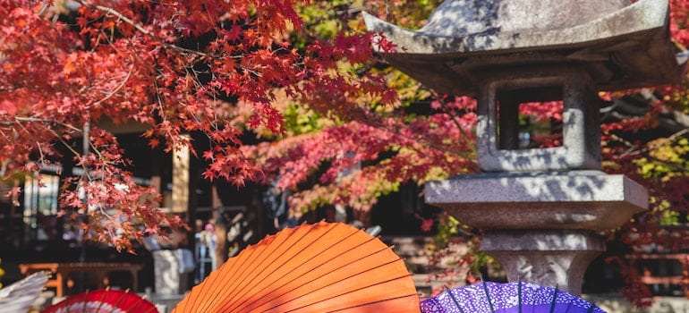Japanese Garden