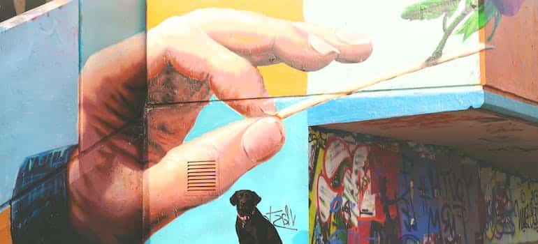 Painted art on the wall 
