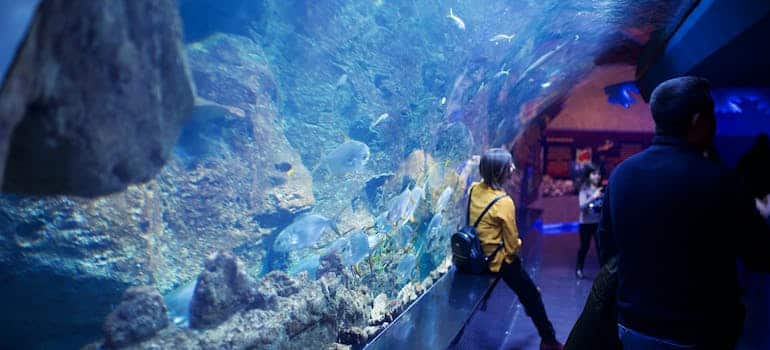 A woman sitting next to the aquarium