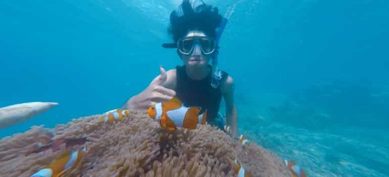 A person snorkeling in one of the summer break destinations in Florida