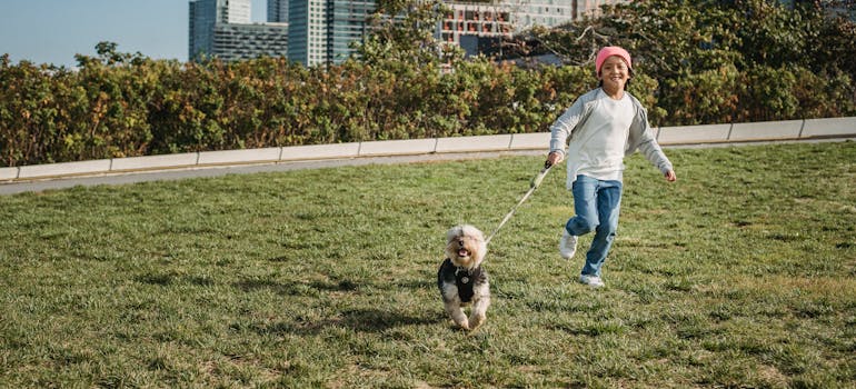 Kid with a dog in the park